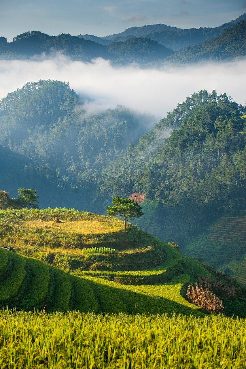 Energy-Builder-Method-solutions-naturelles